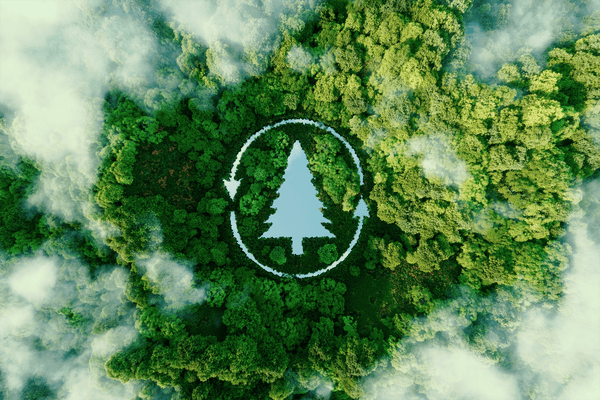 A Guide to Green Energy