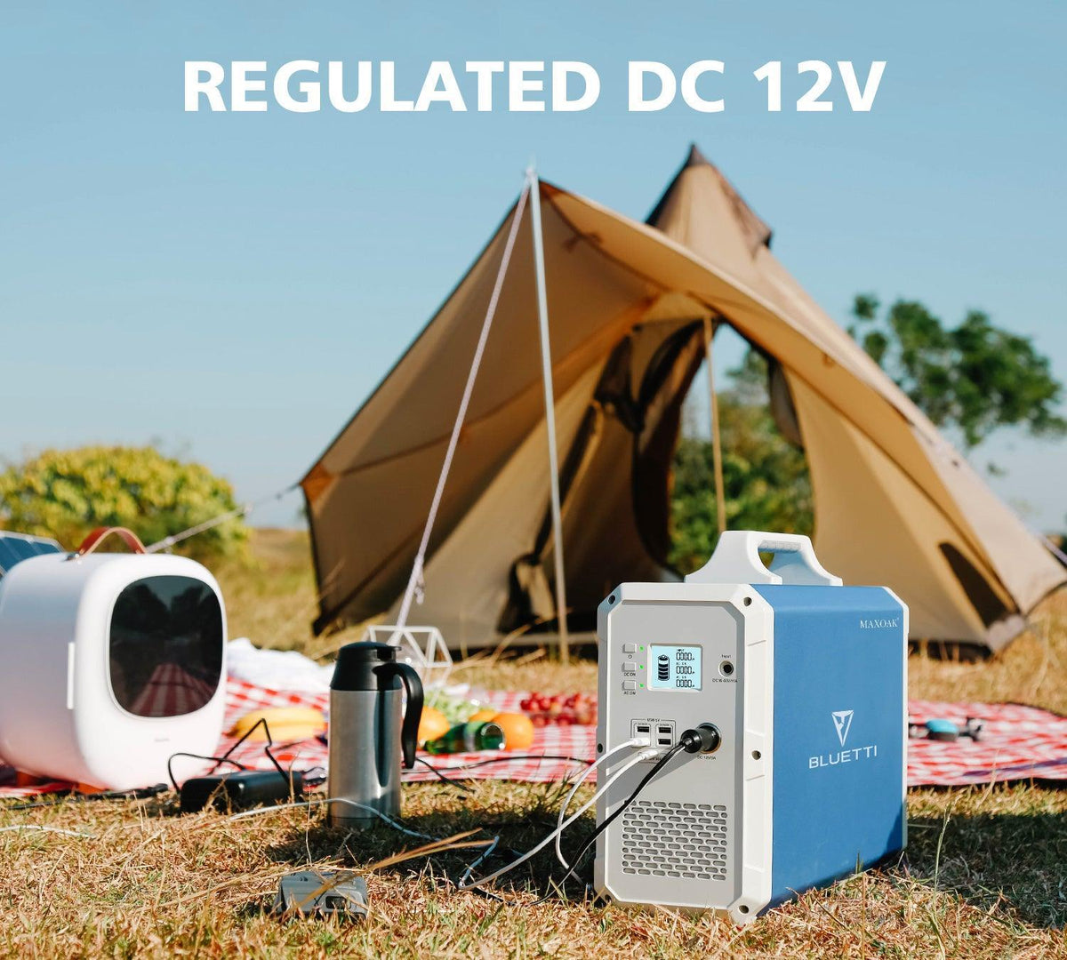 MAXOAK BLUETTI EB240 Power Station-regulated dc 12V